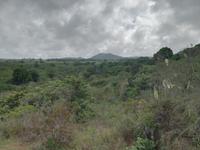 IMG_20180320_103351_1