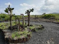 IMG_20180320_163553_1