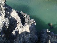 IMG_20180321_154522_1