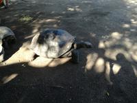 IMG_20180322_091945_1