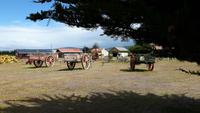 15_Punta Arenas (10)