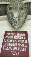 15_Punta Arenas (11)