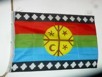Mapuche Fahne