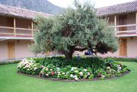 La Casona de Yucay (2)