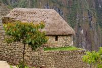 Machu Picchu (3)