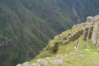 Machu Picchu (7)