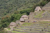 Machu Picchu (40)