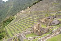 Machu Picchu (42)