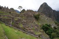 Machu Picchu (44)
