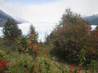 Perito-Moreno-Gletscher