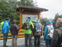 Perito-Moreno-Gletscher