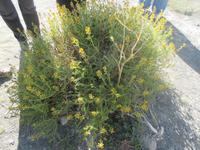 Auf dem Weg zum Perito-Moreno-Gletscher