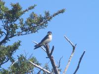 Nationalpark Torres del Paine