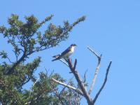 Nationalpark Torres del Paine