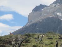 Nationalpark Torres del Paine