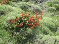 Nationalpark Torres del Paine