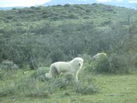 Nationalpark Torres del Paine