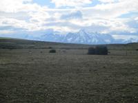 Nationalpark Torres del Paine