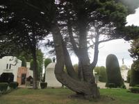 Friedhof Punta Arenas
