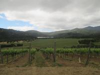 auf dem Weingut Matetic