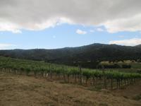 auf dem Weingut Matetic