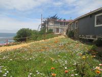 Isla Negra - Haus von Pablo Neruda
