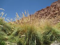 Puritama-Thermalquellen