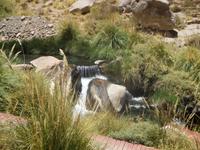 Puritama-Thermalquellen