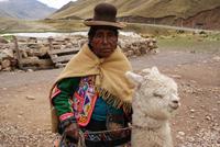 Altiplano (3)