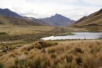 Altiplano (5)