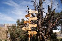 weit weg von zu Hause