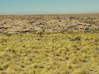 auf dem Weg zu den Hochlandlagunen