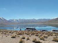 Hochlandlagunen Miscanti und Miniques