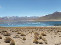 Hochlandlagunen Miscanti und Miniques