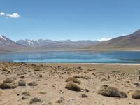 Hochlandlagunen Miscanti und Miniques