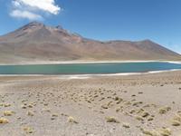 Hochlandlagunen Miscanti und Miniques