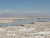 Salar de Atacama
