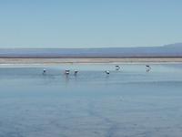 Salar de Atacama