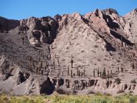 Quebrada del Toro