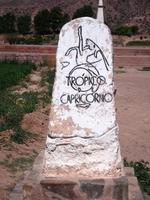 Wendekreis des Steinbocks