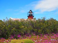Halbinsel Valdés: Punta Delgada