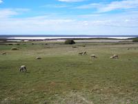 Halbinsel Valdés: Salzsee