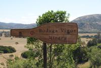 Weingut Matetic (11)