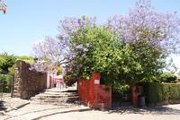 Colonia del Sacramento (17)