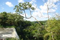 Iguazu Wasserfälle (11)