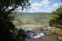 Iguazu Wasserfälle (13)