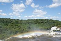Iguazu Wasserfälle (16)
