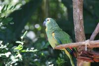 Vogelpark Parque das Aves