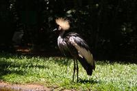 Vogelpark Parque das Aves (2)