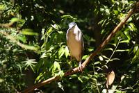 Parque das Aves (5)